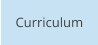 Curriculum